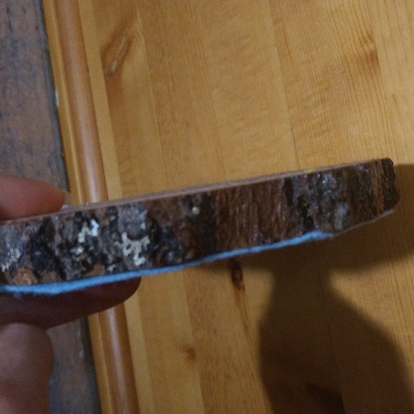 Sliced tree trunk painted shellac elephant picture - Picture 6 of 9